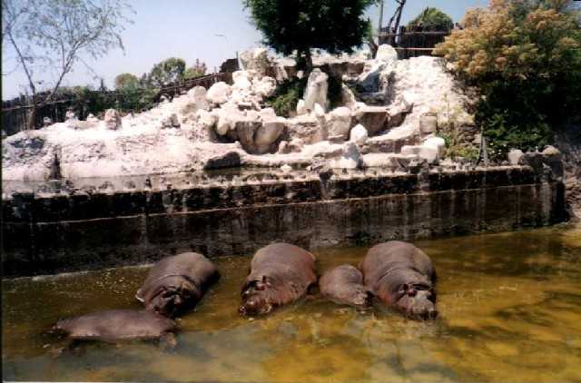 mis amigos y yo durmiendo